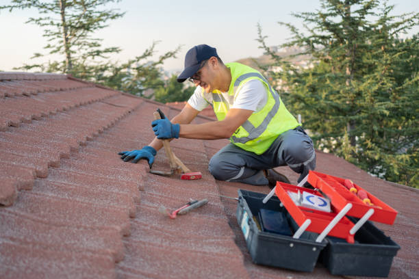 Best Roof Gutter Cleaning  in Old Greenwich, CT